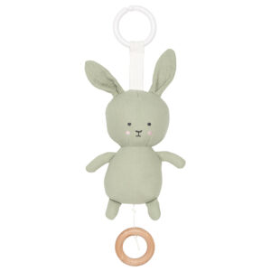 Green musical pull in a bunny design