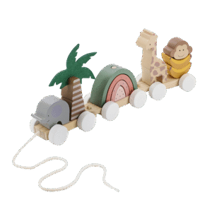 Train With Blocks Safari